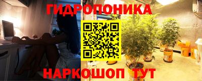 apvp Жуковский