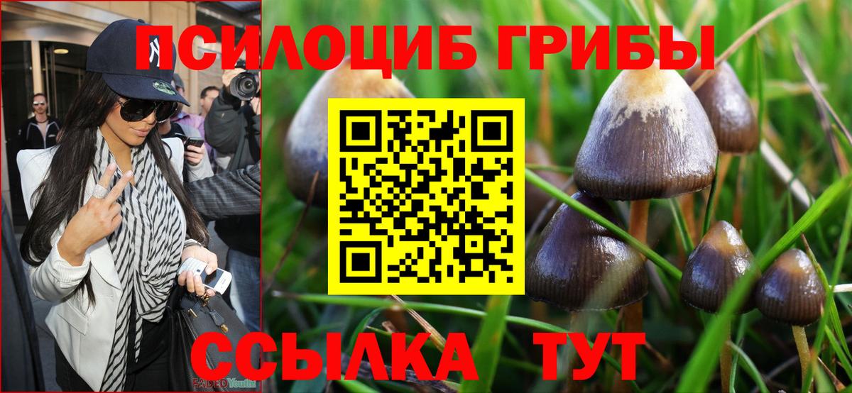 Галлюциногенные грибы ЛСД  Псилоцибиновые грибы Magic Shrooms  Майкоп  Вход с VPN 