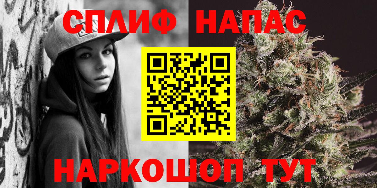 Канабис семена  Бошки марихуана план  Майкоп  Вход с VPN 